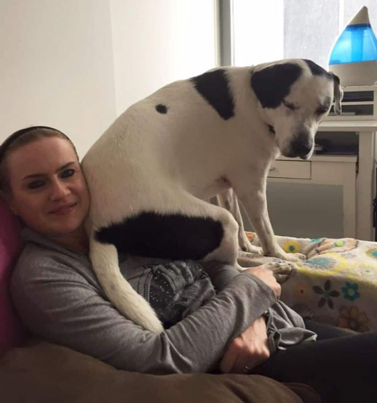 large black and white dog sitting on a woman's chest while she's sitting up