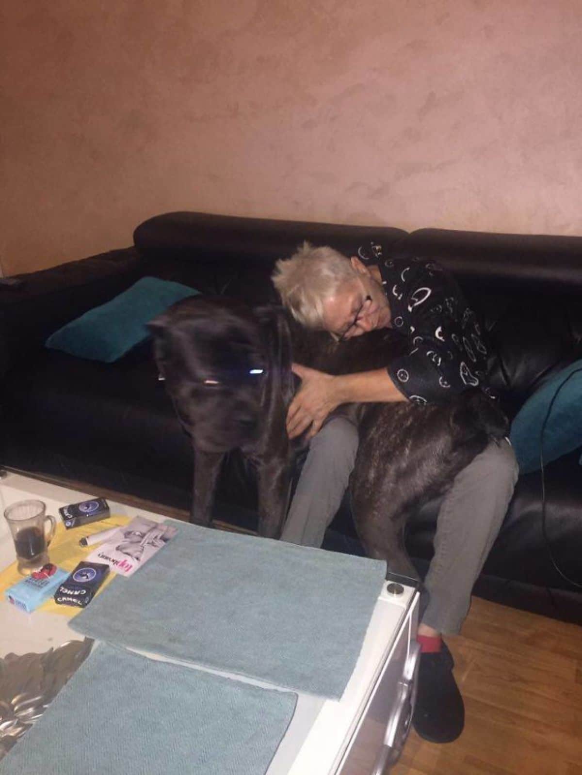large black dog being hugged by someone sitting on a black sofa