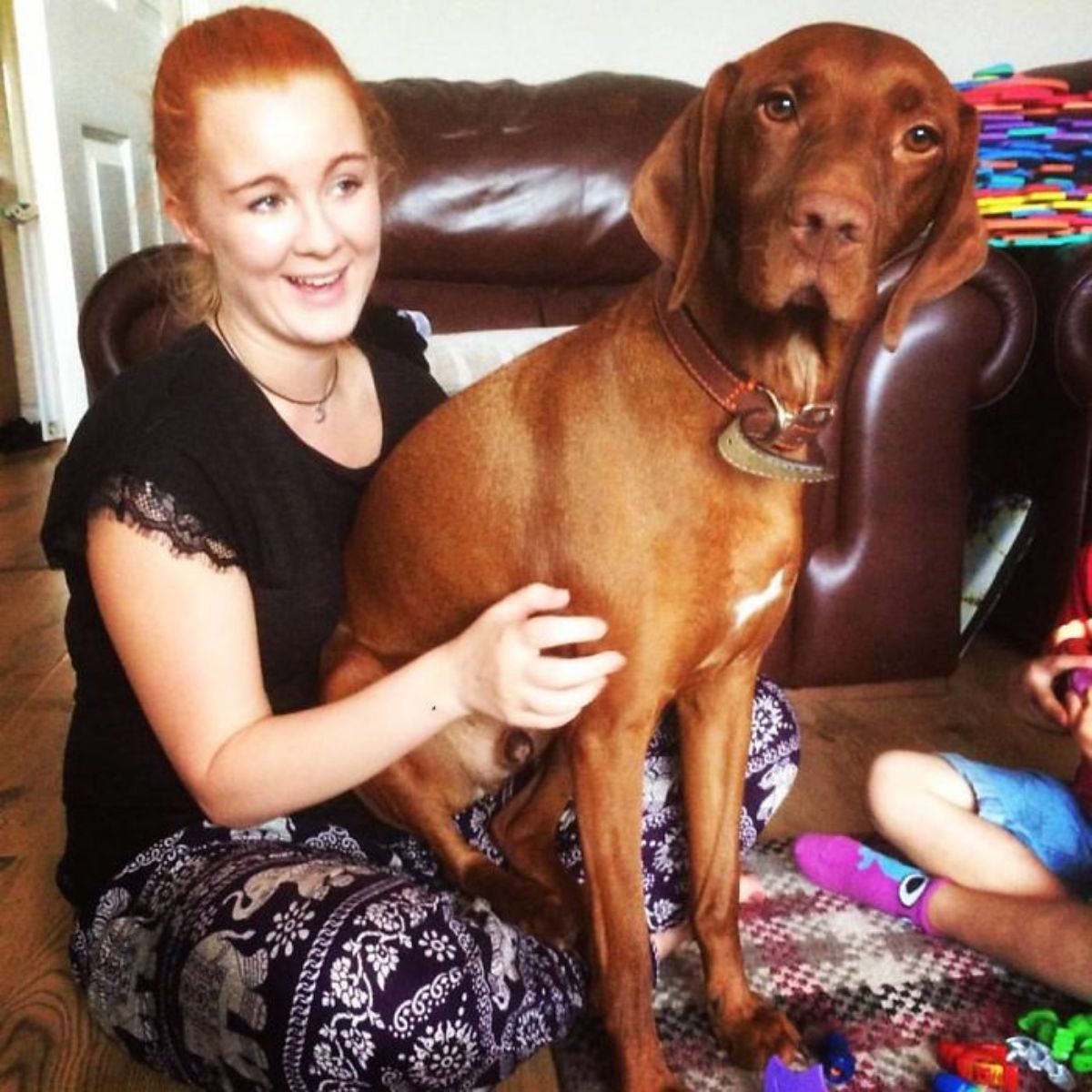 large brown dog sitting on a woman's lap while she's sitting on the floor