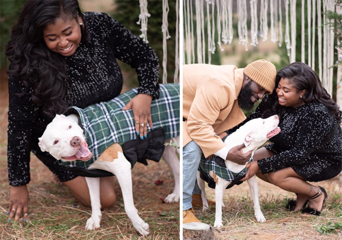 smiling brown and white dog in a green white and blak plaid jacket with a woman in one photo and with a man and a woman in the second photo