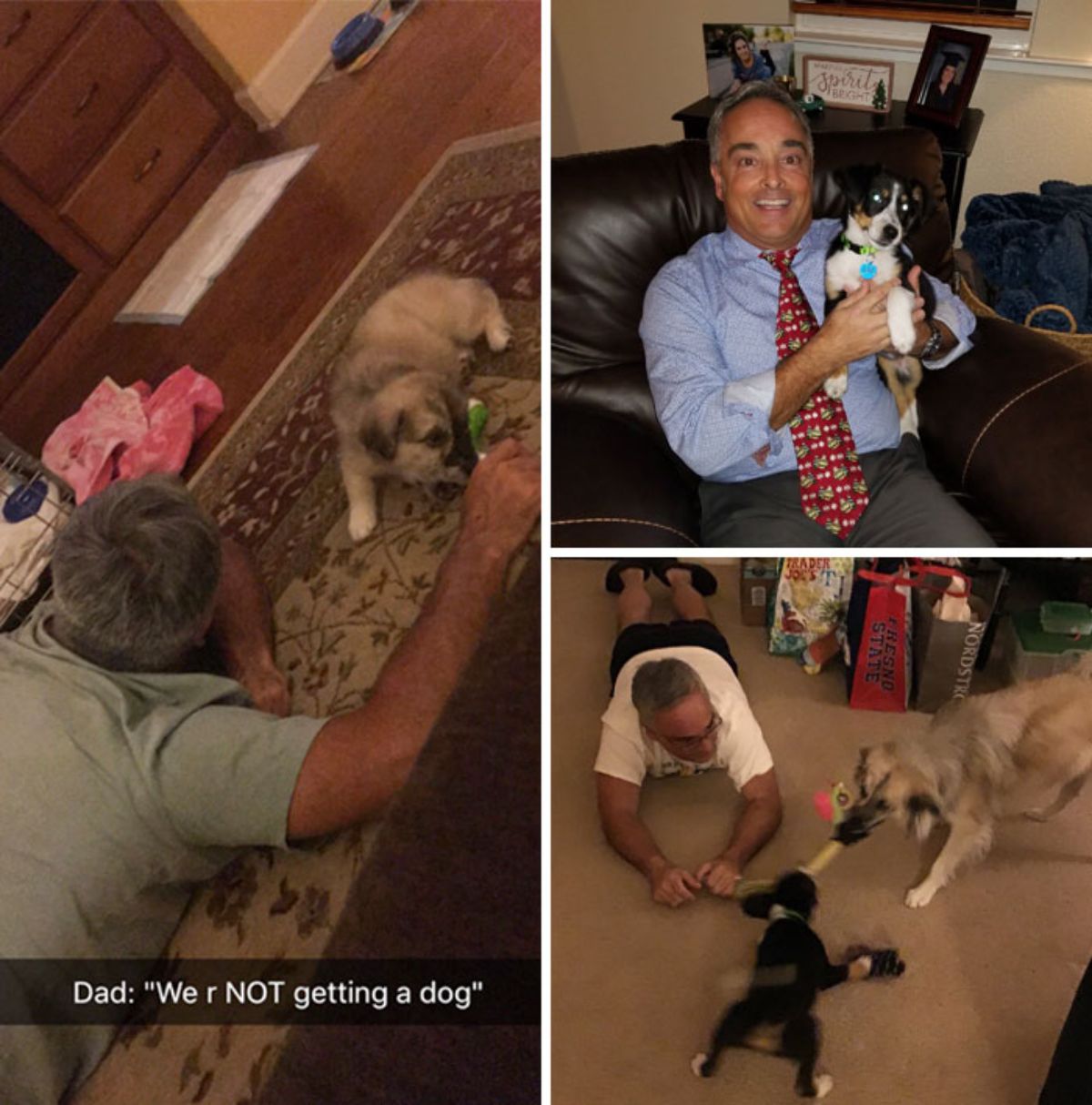 three photos of a man playing with dogs