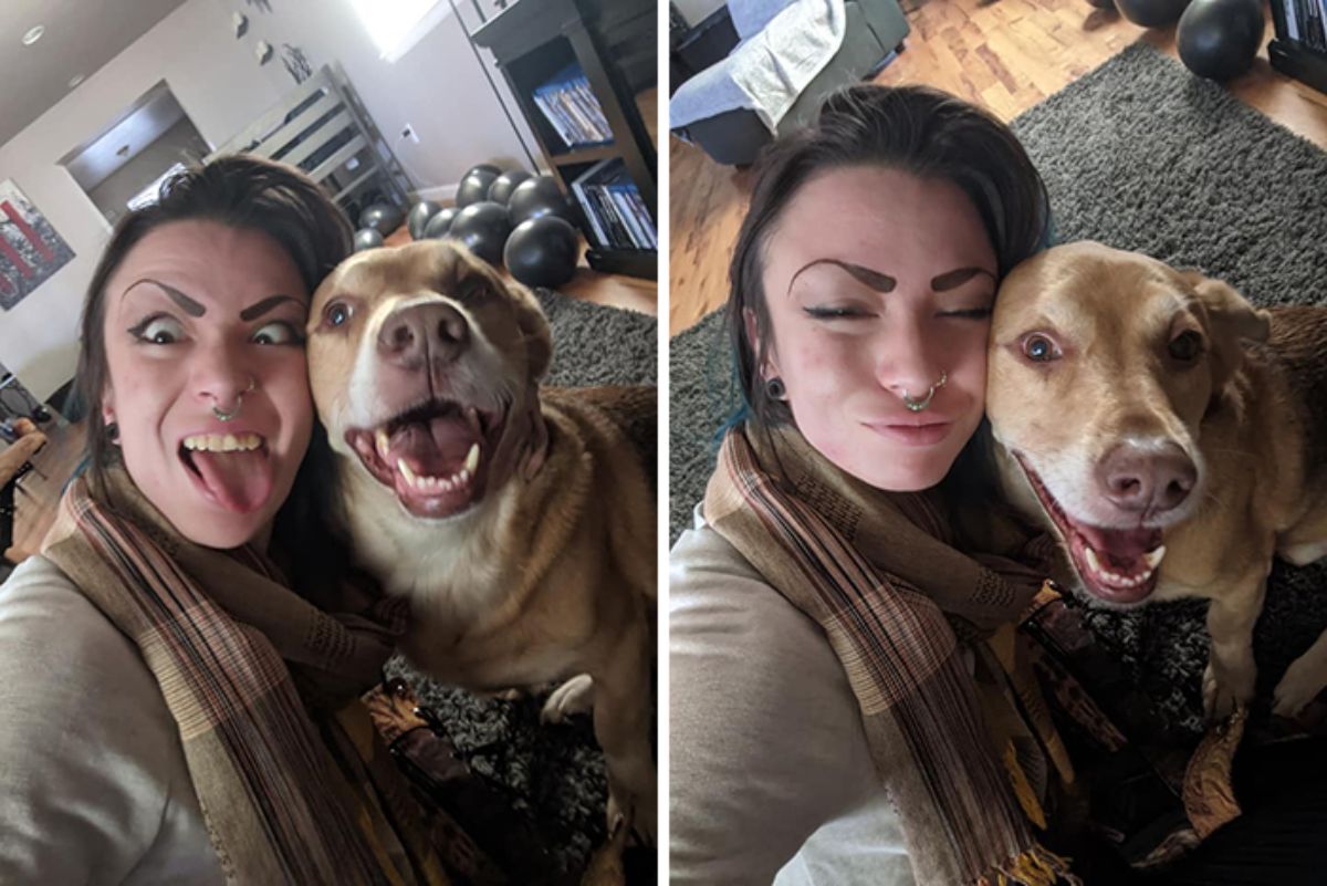 two photos of a smiling brown and white dog with a woman