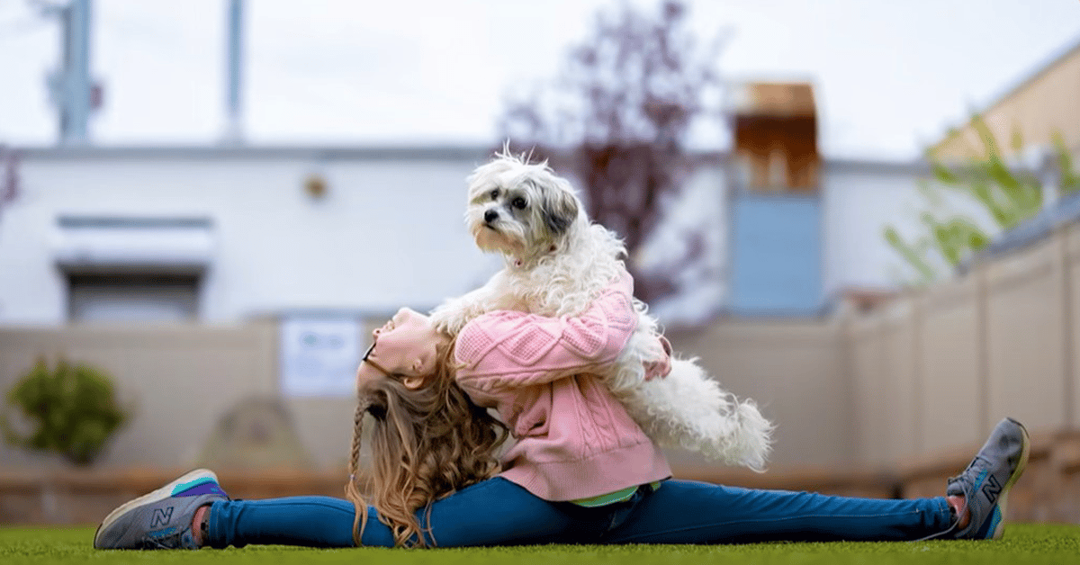 10YearOld Doesn’t Know Her Dad Is About To Adopt A Dog After Years Of Waiting Dog Dispatch